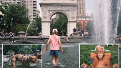 New Yorkers skip work to head to beaches, parks as sun squashes weeks of soggy weather: ‘It’s about time’