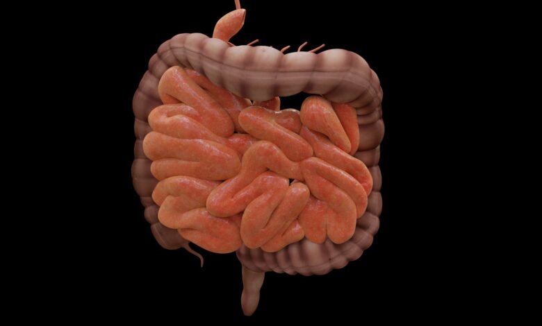 Promising treatment or potential health risk? Promising treatment or potential health risk?