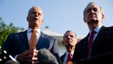 Republicans more likely to use it