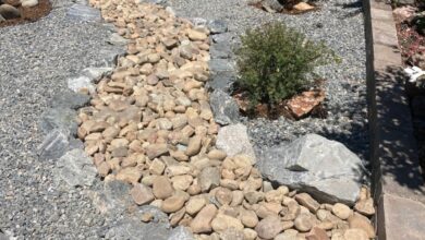 Save money, water in Colorado