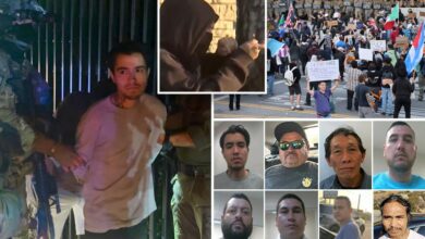 Since LA riots started, ICE has taken Molotov thrower, killer and child molester off the streets