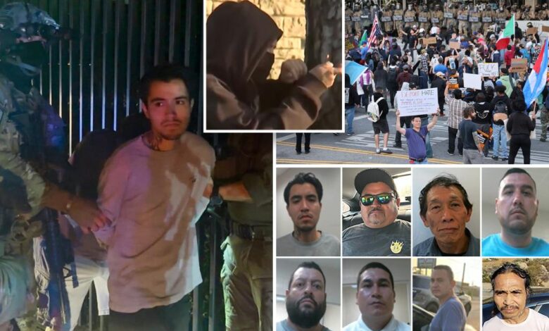 Since LA riots started, ICE has taken Molotov thrower, killer and child molester off the streets Since LA riots started, ICE has taken Molotov thrower, killer and child molester off the streets
