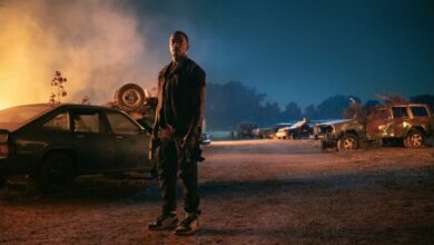 Sony Pictures Extends beIN Media Deal for MENA, Turkey Content Rights