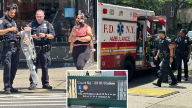 Stranger sprays mystery substance in face of mom, 25, and daughter, 11 months, on board NYC train: cops