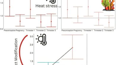 Study links wildfire smoke exposure and heat stress to adverse birth outcomes