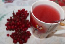 Tea, berries, dark chocolate and apples could lead to a longer life span, flavonoid study finds