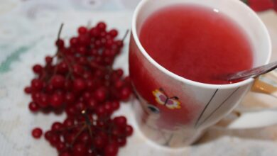 Tea, berries, dark chocolate and apples could lead to a longer life span, flavonoid study finds