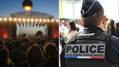 Teen girls among 145 stabbed with syringes across France at popular music festival, 12 sickos arrested