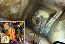 Teen trapped trying to rescue cherished dogs that fell down a California well saved by elite recuse team
