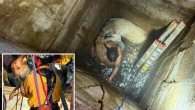 Teen trapped trying to rescue cherished dogs that fell down a California well saved by elite recuse team
