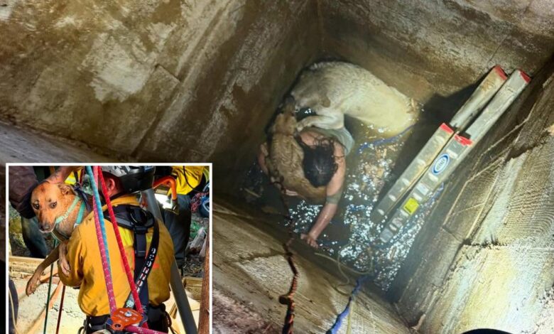 Teen trapped trying to rescue cherished dogs that fell down a California well saved by elite recuse team Teen trapped trying to rescue cherished dogs that fell down a California well saved by elite recuse team