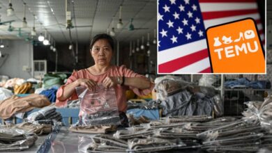 Temu’s daily US users cut in half following end of ‘de minimis’ loophole