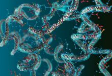 This AI Model Could Make It Faster To Find New Medicines