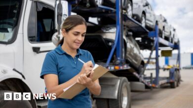 UK-US tariff deal: Cars, steel and beef