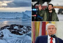 US Export-Import Bank considering 0M loan for Greenland rare earths project