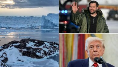 US Export-Import Bank considering 0M loan for Greenland rare earths project