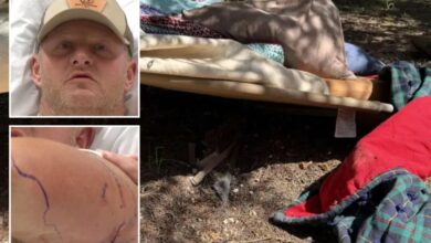 Utah construction worker Nate Peterson attacked by black bear in Bryce Woodlands