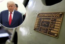 Westinghouse pursuing US nuclear expansion with 10 large reactors after Trump orders: report