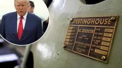 Westinghouse pursuing US nuclear expansion with 10 large reactors after Trump orders: report