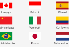 What imports the U.S. relies on most from each country.