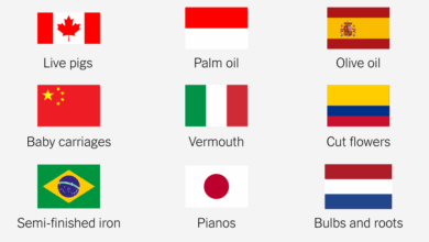 What imports the U.S. relies on most from each country.