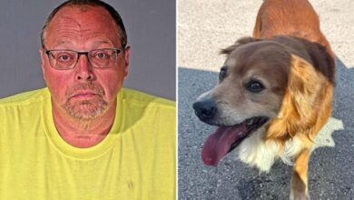 Wis. pol accused of strangling lost golden retriever as good Samaritan watched in horror