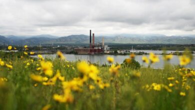 Xcel plans Colorado coal ash cleanup as toxins seep into groundwater