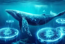 Bitcoin ATH Incoming? Whale Accumulation Hints at Potential Bullish Breakout