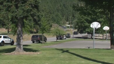 2 dead after firefighters ambushed by gunman while responding to brush fire in Idaho: Sheriff