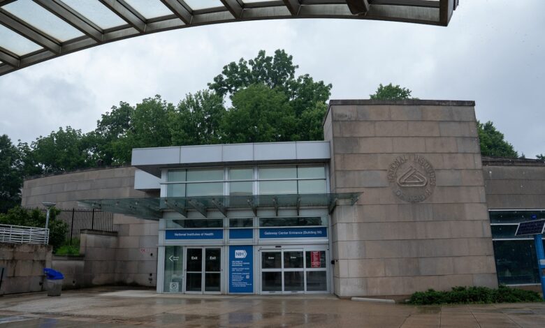 NIH scientists sign open letter criticizing Trump administration’s grant cancellations, firings