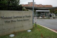 Federal judge rules Trump directives canceling NIH grants are ‘void,’ ‘illegal’