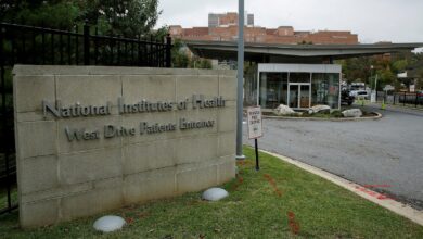 Federal judge rules Trump directives canceling NIH grants are ‘void,’ ‘illegal’