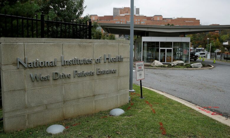 Federal judge rules Trump directives canceling NIH grants are ‘void,’ ‘illegal’ Federal judge rules Trump directives canceling NIH grants are ‘void,’ ‘illegal’