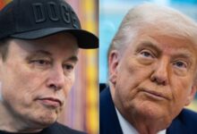 ‘CRAZY’: Trump and Musk feud erupts on social media