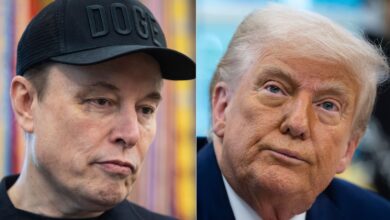 ‘CRAZY’: Trump and Musk feud erupts on social media