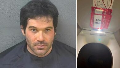 American Airlines flight attendant who admitted to secretly filming young girls in plane bathroom learns fate