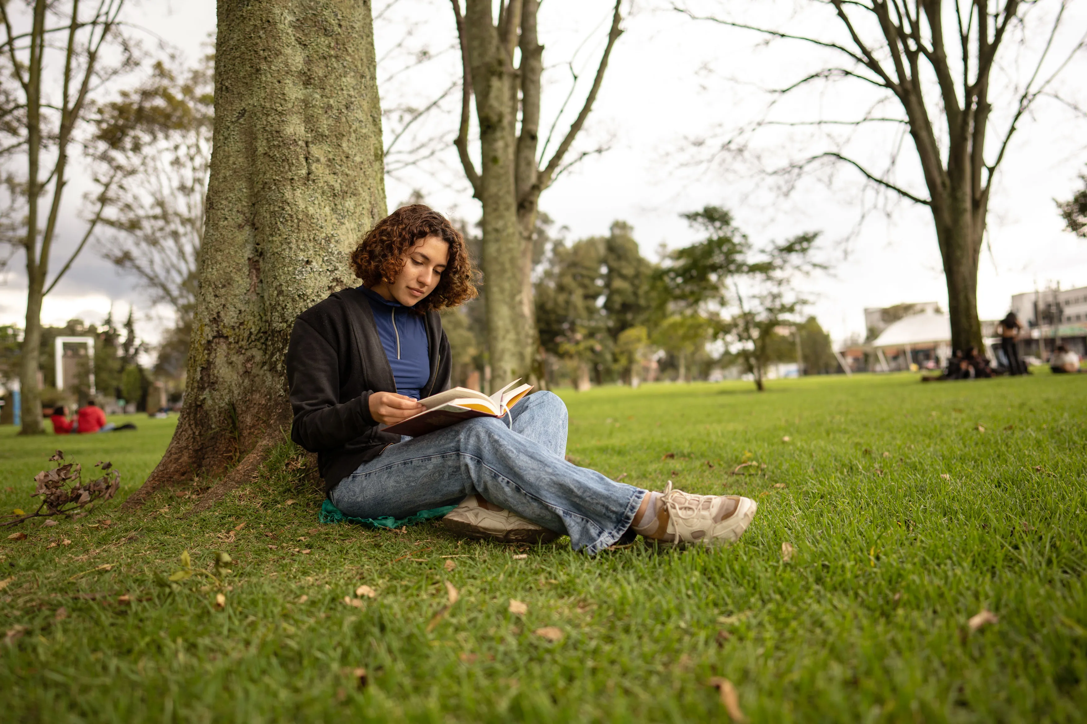 Best Parent Loans for College: Parent PLUS vs. Private Loans