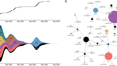 Bird flu found to evolve rapidly, infecting more hosts and finding ways to spread more effectively