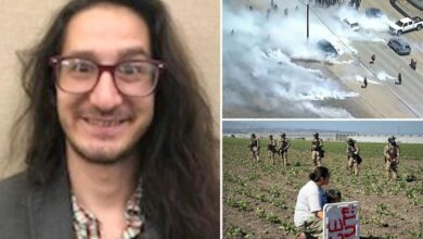California professor Jonathan Anthony Caravello arrested for allegedly tossing tear gas canister at ICE agents during raid on marijuana farm
