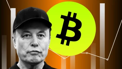 SpaceX Just Moved 2 Million in Bitcoin, Are Whales Dumping?
