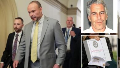 FBI Deputy Director Dan Bongino weighs quitting over Trump admin handling of Jeffrey Epstein ‘client list’