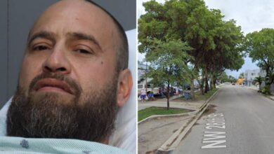 Florida driver yells, ‘Sike!’ at cop and flees — only to crash into 18-wheeler