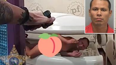 Florida man Henrry Antunez-Avarad naked Planet Fitness rampage leads Lee County Sheriff to tanning bed