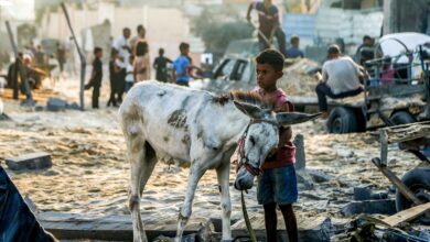 ‘I don’t know’: Trump says of Israeli claim there’s no starvation crisis in Gaza