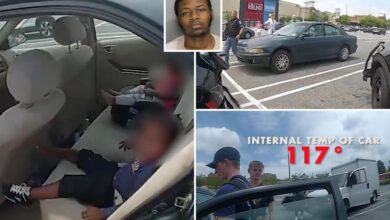 Georgia police officers break into car with two crying children in the heat