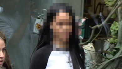 Guess Who This ‘Smurfs’ Voice Actress Is!