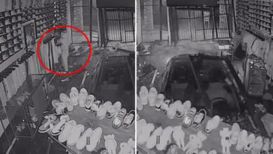 Hooded thief caught on camera plowing stolen car into Phoenix streetwear store before making off with designer clothes