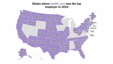 How Health Care Remade the U.S. Economy