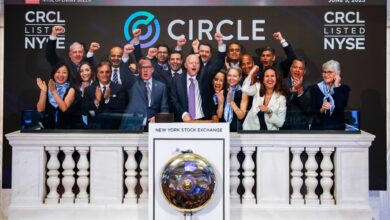 IPO market boost from Circle 500% surge, VCs say drought may be ending