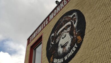 Infinite Monkey Theorem winery’s equipment ‘held hostage’ by landlord, investor says